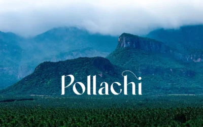 Pollachi | Cinematic Aerial View | 4K